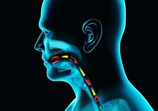 Manometry & pH Studies